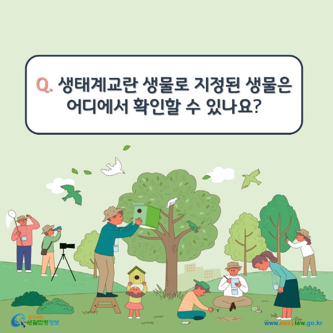 www.easylaw.go.kr Q. 생태계교란 생물로 지정된 생물은 어디에서 확인할 수 있나요? 